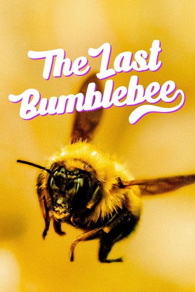 Póster de The Last Bumblebee