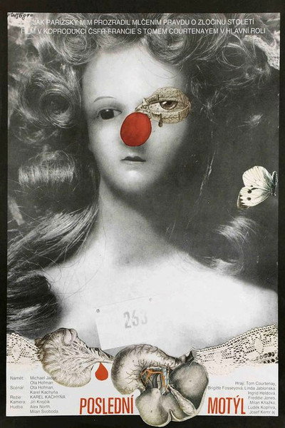 Póster de The Last Butterfly
