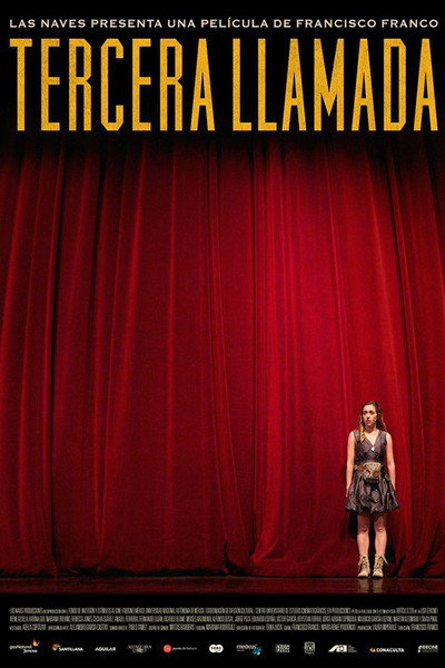 Póster de The Last Call