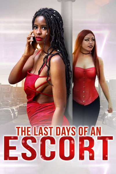 Póster de The Last Days of an Escort