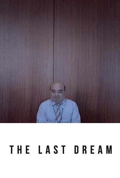 Póster de The Last Dream
