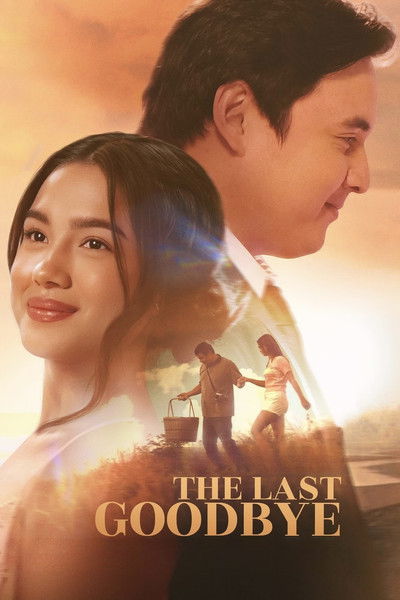 Póster de The Last Goodbye