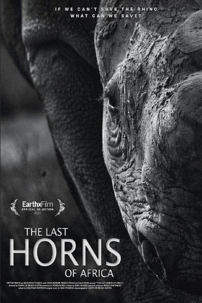 Póster de The Last Horns of Africa