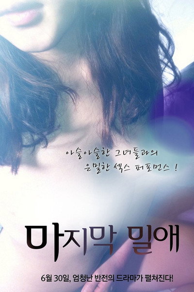 Póster de The Last Liaison