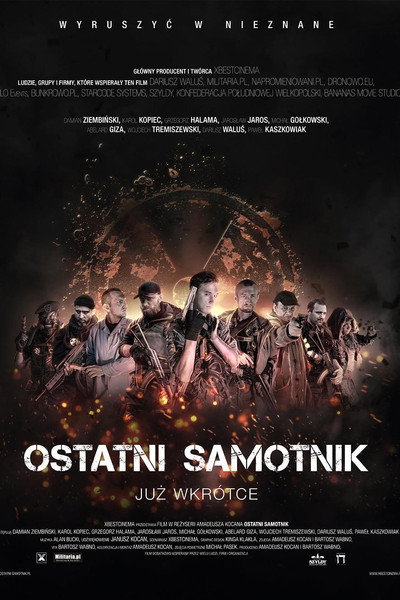 Póster de The Last Loner