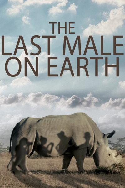 Póster de The Last Male on Earth