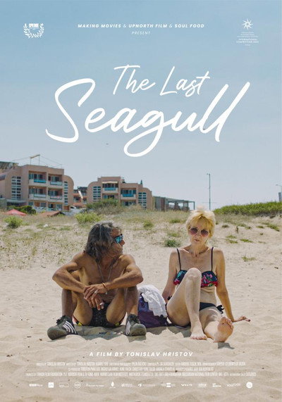 Póster de The Last Seagull