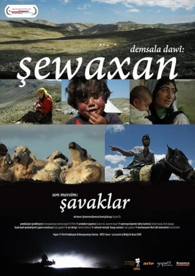 Póster de The Last Season: Shawaks