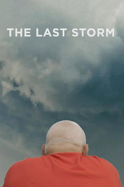 Póster de The Last Storm