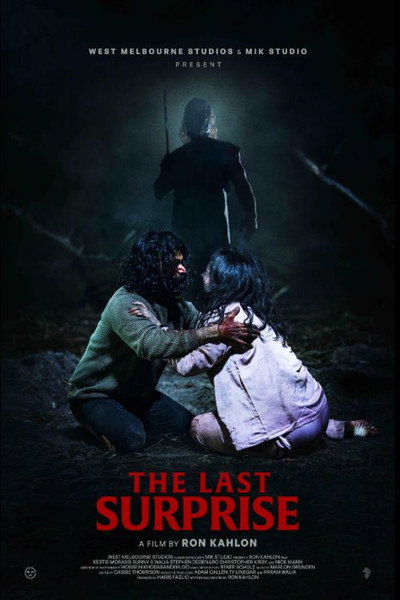 Póster de The Last Surprise