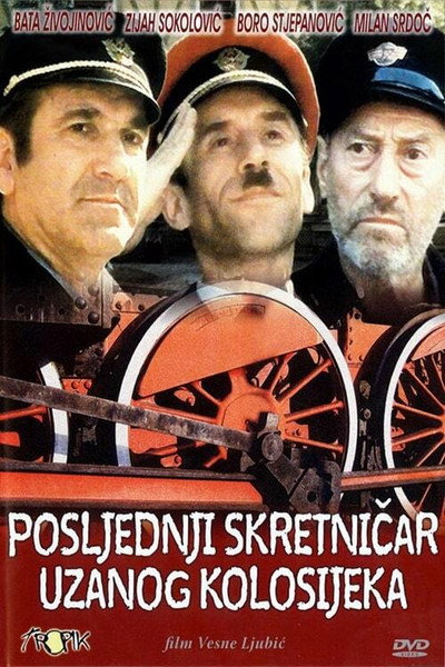 Póster de The Last Switchman of the Narrow Gauge Railway