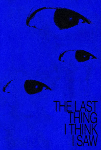 Póster de The Last Thing I Think I Saw