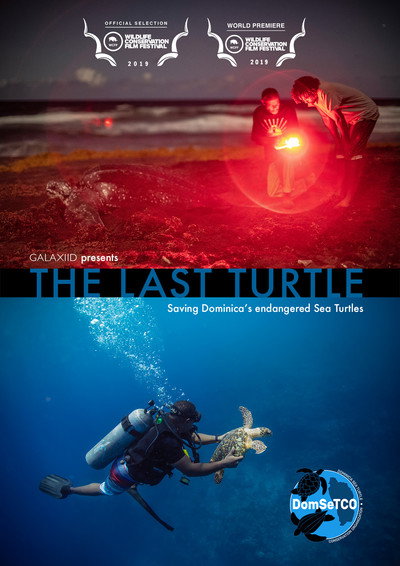 Póster de The Last Turtle