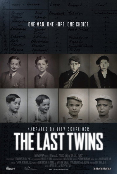Póster de The Last Twins