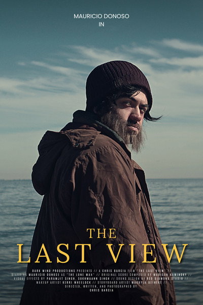 Póster de The Last View