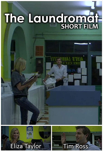Póster de The Laundromat