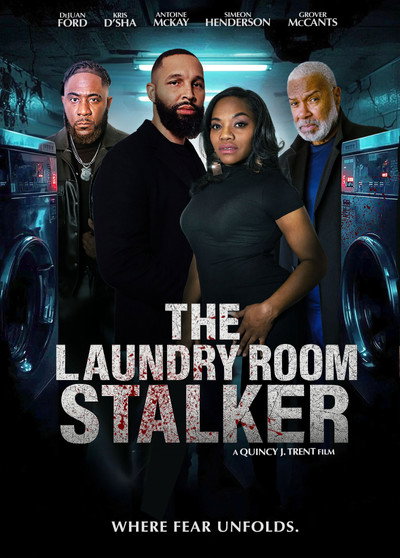 Póster de The Laundry Room Stalker