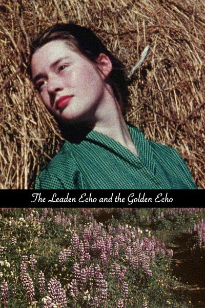 Póster de The Leaden Echo and the Golden Echo