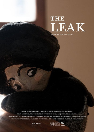 Póster de The Leak