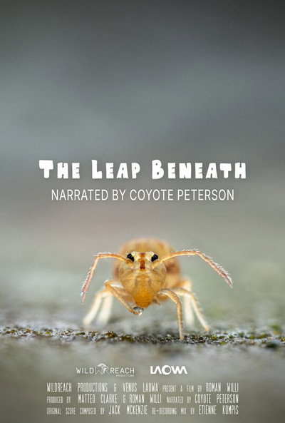 Póster de The Leap Beneath