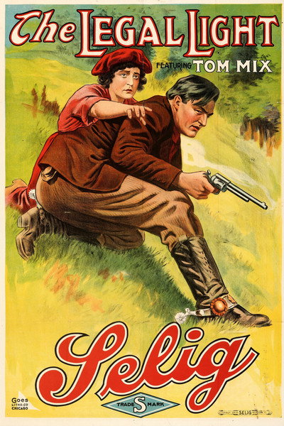 Póster de The Legal Light