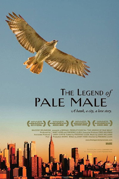 Póster de The Legend of Pale Male