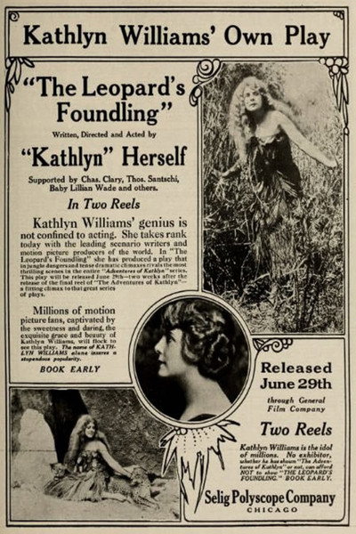 Póster de The Leopard's Foundling
