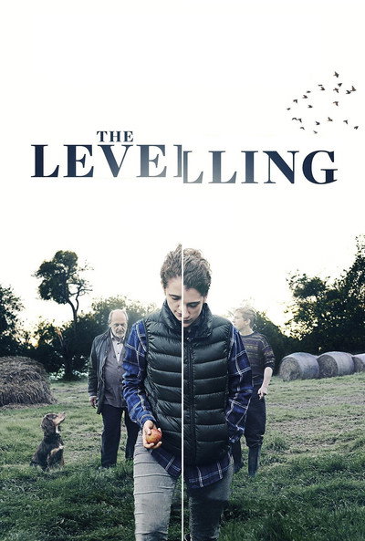 Póster de The Levelling