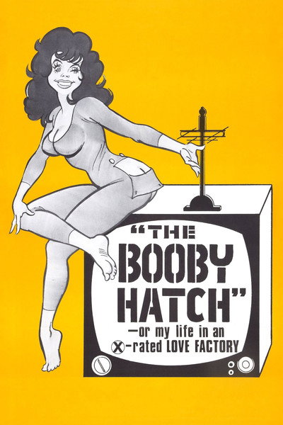 Póster de The Liberation of Cherry Janowski