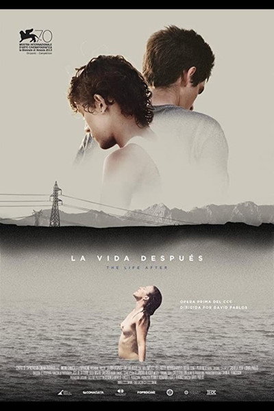 Póster de The Life After