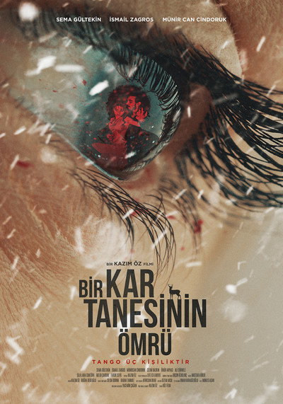 Póster de The Life of a Snowflake