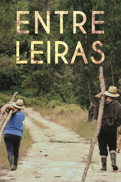 Póster de The Life We Know
