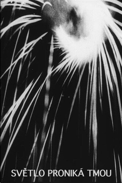 Póster de The Light Penetrates the Dark