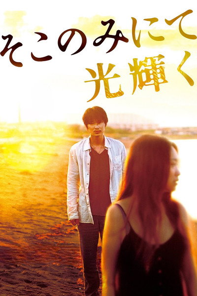 Póster de The Light Shines Only There