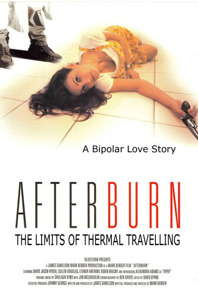 Póster de The Limits of Thermal Travelling