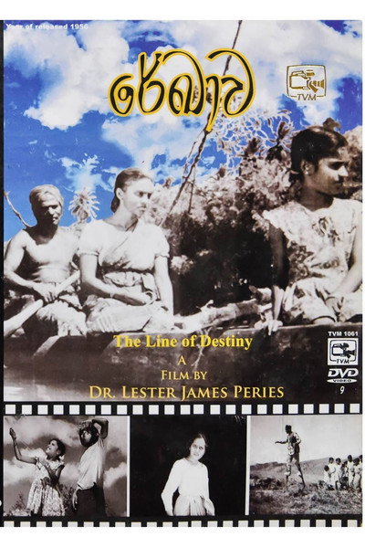 Póster de The Line of Destiny