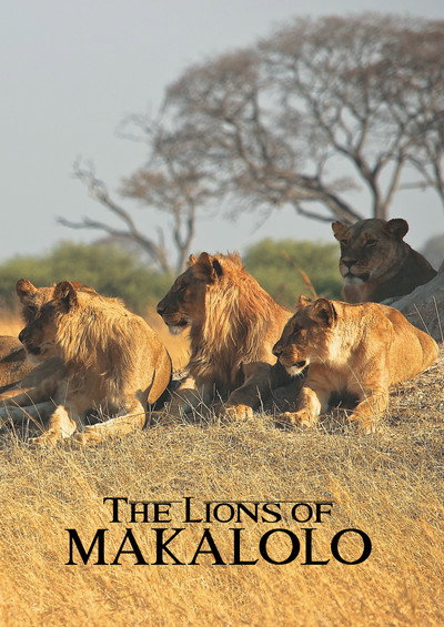 Póster de The Lions of Makalolo