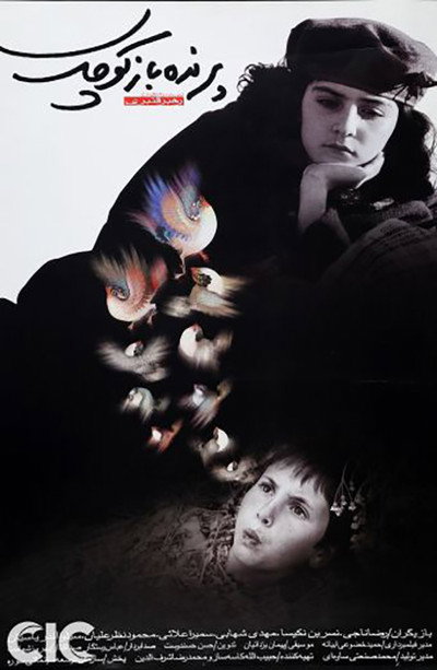 Póster de The Little Bird Boy
