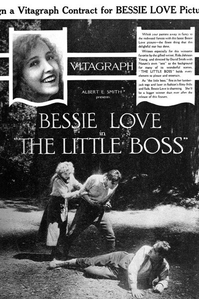 Póster de The Little Boss