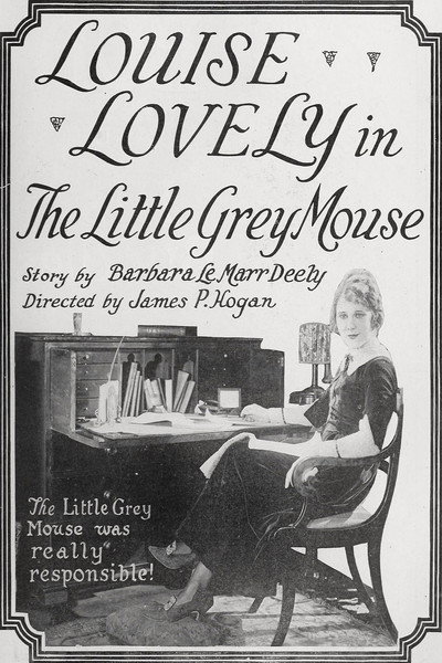Póster de The Little Grey Mouse
