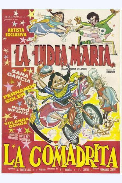 Póster de The Little Midwife