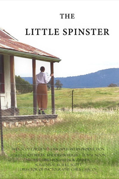 Póster de The Little Spinster