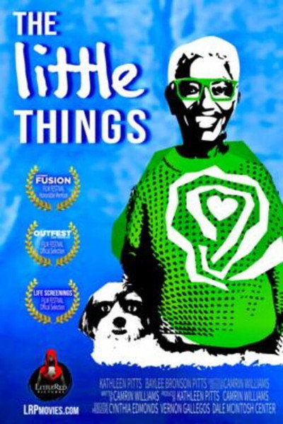 Póster de The Little Things