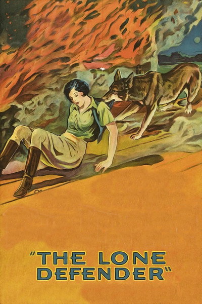 Póster de The Lone Defender