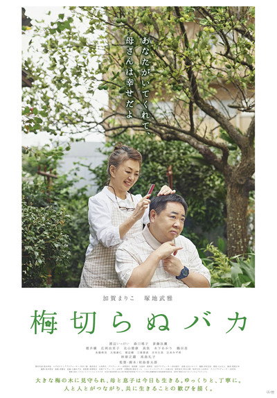 Póster de The Lone Ume Tree