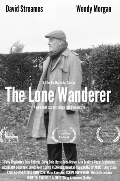 Póster de The Lone Wanderer