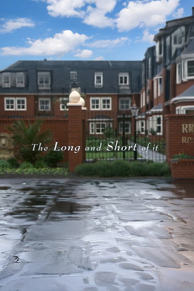 Póster de The Long and Short of It
