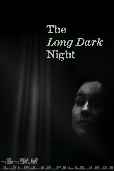 Póster de The Long Dark Night