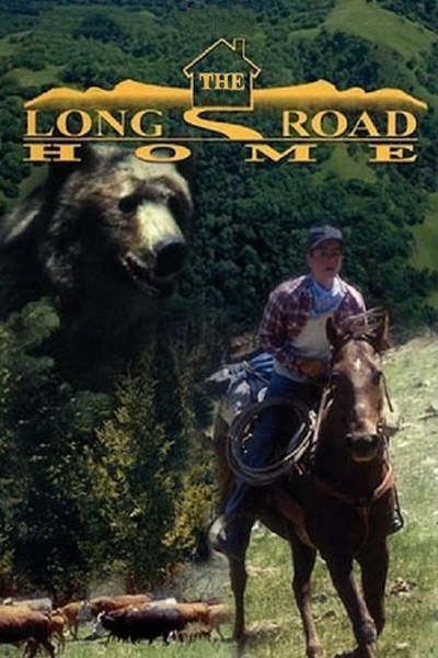 Póster de The Long Road Home