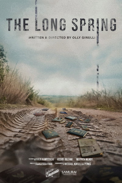 Póster de The Long Spring